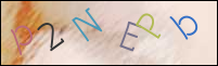 Registration Image