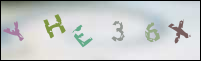 Registration Image