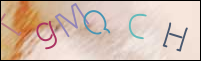 Registration Image
