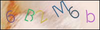 Registration Image