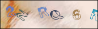 Registration Image