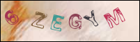 Registration Image